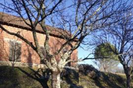 Countryside Barn to Renovate