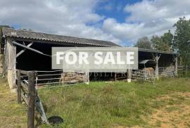 Barn to Renovate in the Countryside
