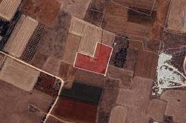 Agricultural Land for sale in Xylofagou Village, Larnaca