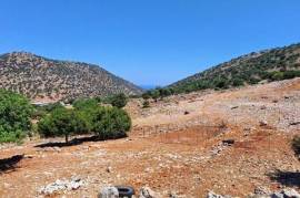 Building Plot for Sale - 6250 m2 near Malia, Crete