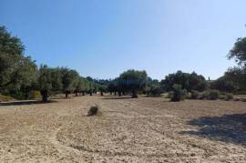 2162341 - Plot of Land For sale, Rhodes, 5.240 sq.m., €180.000