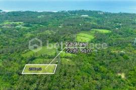 Prestigious 23.9 are Freehold Jungle Land in Balian – A Rare Investment Opportunity Blending Natural Serenity with Coastal Elegance