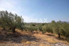 Agricultural 4429 sq.m for sale
