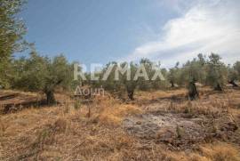 Agricultural 4429 sq.m for sale