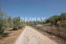 Agricultural 4429 sq.m for sale