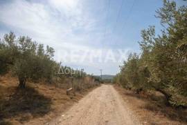 Agricultural 4429 sq.m for sale