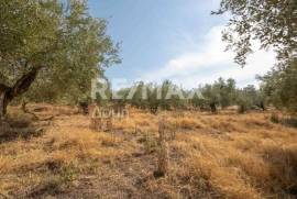 Agricultural 4429 sq.m for sale