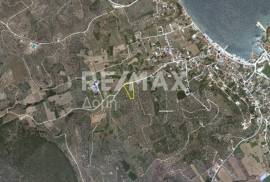 Agricultural 4429 sq.m for sale