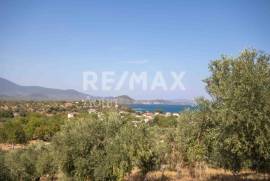 Agricultural 4429 sq.m for sale