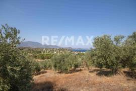 Agricultural 4429 sq.m for sale