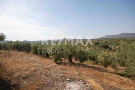 Agricultural 4429 sq.m for sale