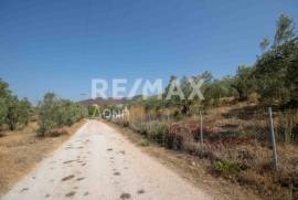 Agricultural 4429 sq.m for sale