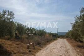 Agricultural 4429 sq.m for sale