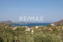 Agricultural 4429 sq.m for sale