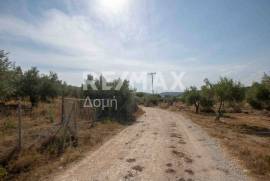 Agricultural 4429 sq.m for sale