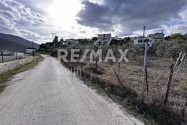 Plot 1006 sq.m for sale