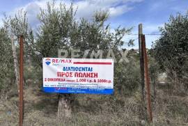 Plot 1006 sq.m for sale