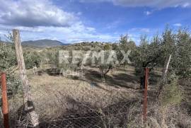 Plot 1006 sq.m for sale