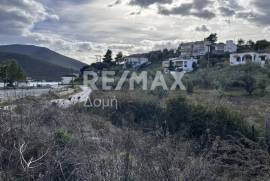 Plot 1008 sq.m for sale