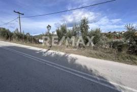 Plot 1008 sq.m for sale