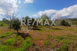 Agricultural 3015 sq.m for sale