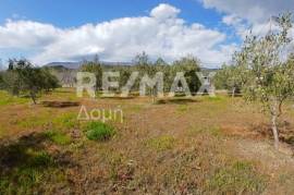 Agricultural 3015 sq.m for sale