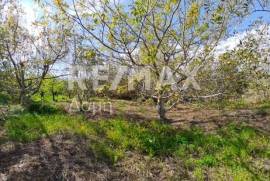 Agricultural 3015 sq.m for sale