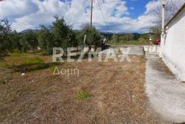 Agricultural 3015 sq.m for sale