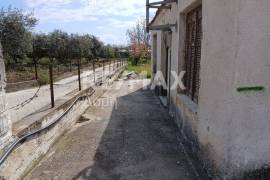 Agricultural 3015 sq.m for sale