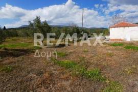 Agricultural 3015 sq.m for sale