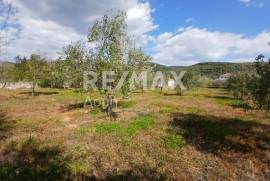 Agricultural 3015 sq.m for sale