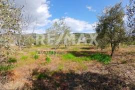 Agricultural 3015 sq.m for sale