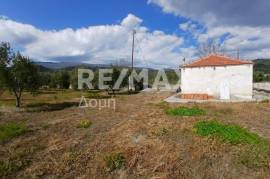 Agricultural 3015 sq.m for sale