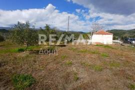 Agricultural 3015 sq.m for sale
