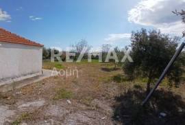 Agricultural 3015 sq.m for sale