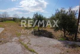 Agricultural 3015 sq.m for sale