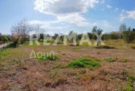Agricultural 3015 sq.m for sale