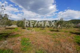 Agricultural 3015 sq.m for sale