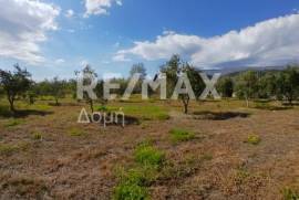 Agricultural 3015 sq.m for sale