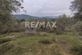 Agricultural 6579 sq.m for sale