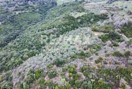 Agricultural 6579 sq.m for sale