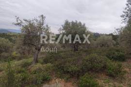 Agricultural 6579 sq.m for sale