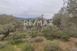 Agricultural 6579 sq.m for sale