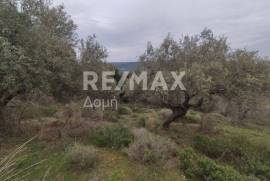Agricultural 6579 sq.m for sale