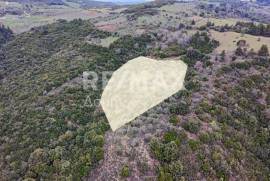 Agricultural 6579 sq.m for sale