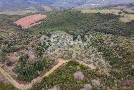 Agricultural 6579 sq.m for sale