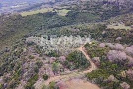 Agricultural 6579 sq.m for sale