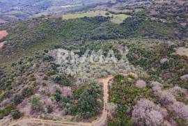 Agricultural 6579 sq.m for sale