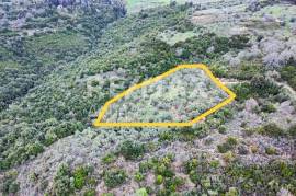 Agricultural 6579 sq.m for sale