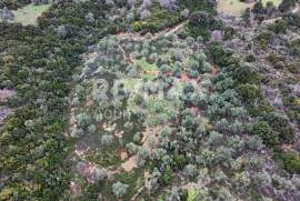 Agricultural 6579 sq.m for sale